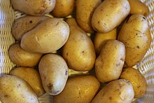 Kartoffeln Sorte Nicola.jpg