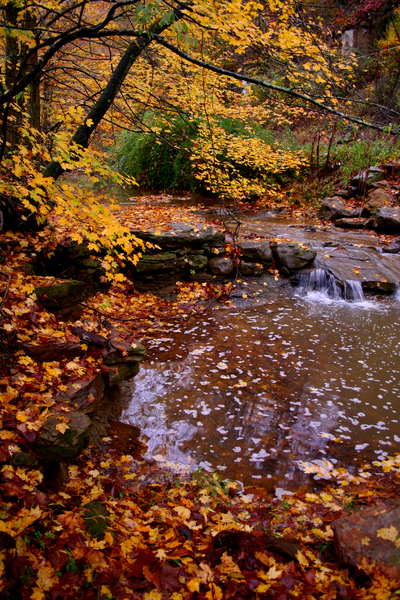 File:Kellys-creek-1 - West Virginia - ForestWander.png