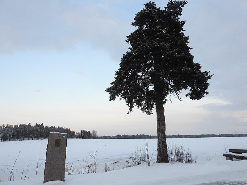 File:Koria Töpsymänty muokattu.jpg