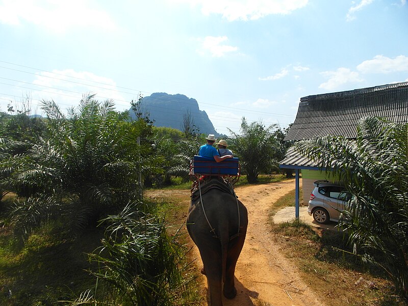 File:Krabi, 2014 (february) - panoramio (49).jpg