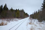 Forest railway