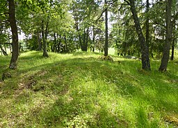 KirkeDalarna-kvinde gravfelter 2012c.jpg