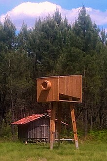 La Caméra d'Arnaudin de Jean Jacques Moreaux sur la lande de Baillon à Vert (40420), près d'une cabane de résinier restaurée par la municipalité