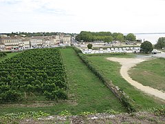 Town and vineyard of Blaye from the citadel.