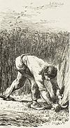 Labours of the fields-Reaper.jpg