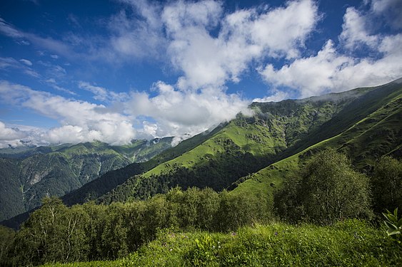 Lagodekhi Protected Area