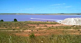 Соленое озеро Бумбунга в Лохиле, Южная Австралия, 2010 год.