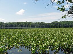 Leesylvania State Park.JPG