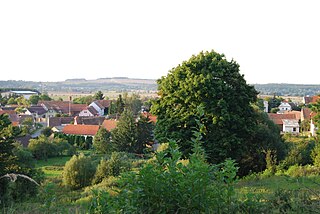 <span class="mw-page-title-main">Lety (Písek District)</span> Municipality in South Bohemian, Czech Republic