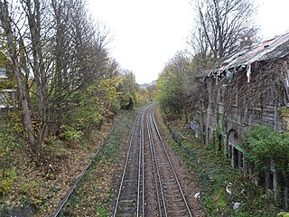 <span class="mw-page-title-main">Lewisham Road railway station</span> Former railway station in England