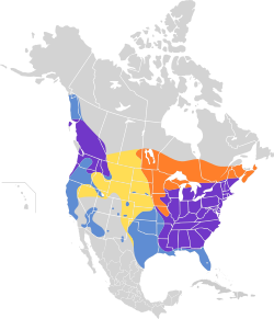 Área de distribución de L. cucullatus