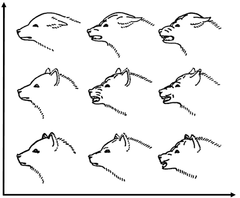 Image 45A drawing by Konrad Lorenz showing facial expressions of a dog - a communication behavior. From the lower left, fear increases in the upward direction and aggression increases to the right. (from Dog behavior)