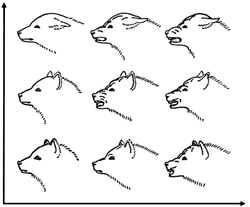 A drawing by Konrad Lorenz showing facial expressions of a dog - a communication behavior. y-axis = fear, x-axis = aggression Lorenz emotions.png