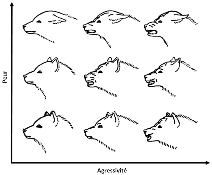 File:Lorenz emotions.png