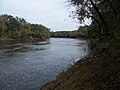 The Suwannee River, looking east from the Hal W. Adams Bridge.