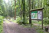 Lynchmere Common - geograph.org.uk - 21563.jpg