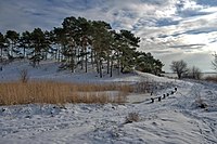 77. Platz: Wolfgang M.Schmidt Neu! mit Naturschutzgebiet „Südspitze Gnitz“ mit Blickrichtung nach Süd-Ost, Usedom, Mecklenburg-Vorpommern.