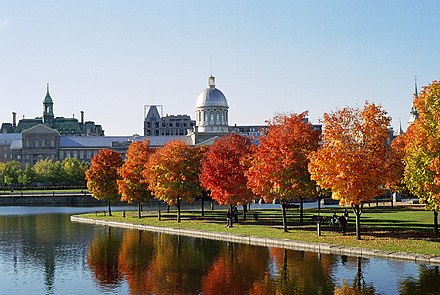 The dome of the Marché Bonsecours in Old Montréal