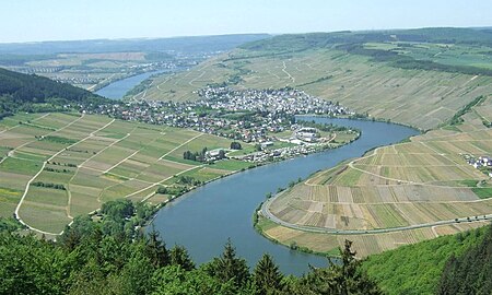 Mehring mosel