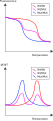 Graphs to show the relation between fluorescence and temperature for labeled probe designed for a Wt sequence, homozygous Wt, heterozygous and homozygous mutant situations