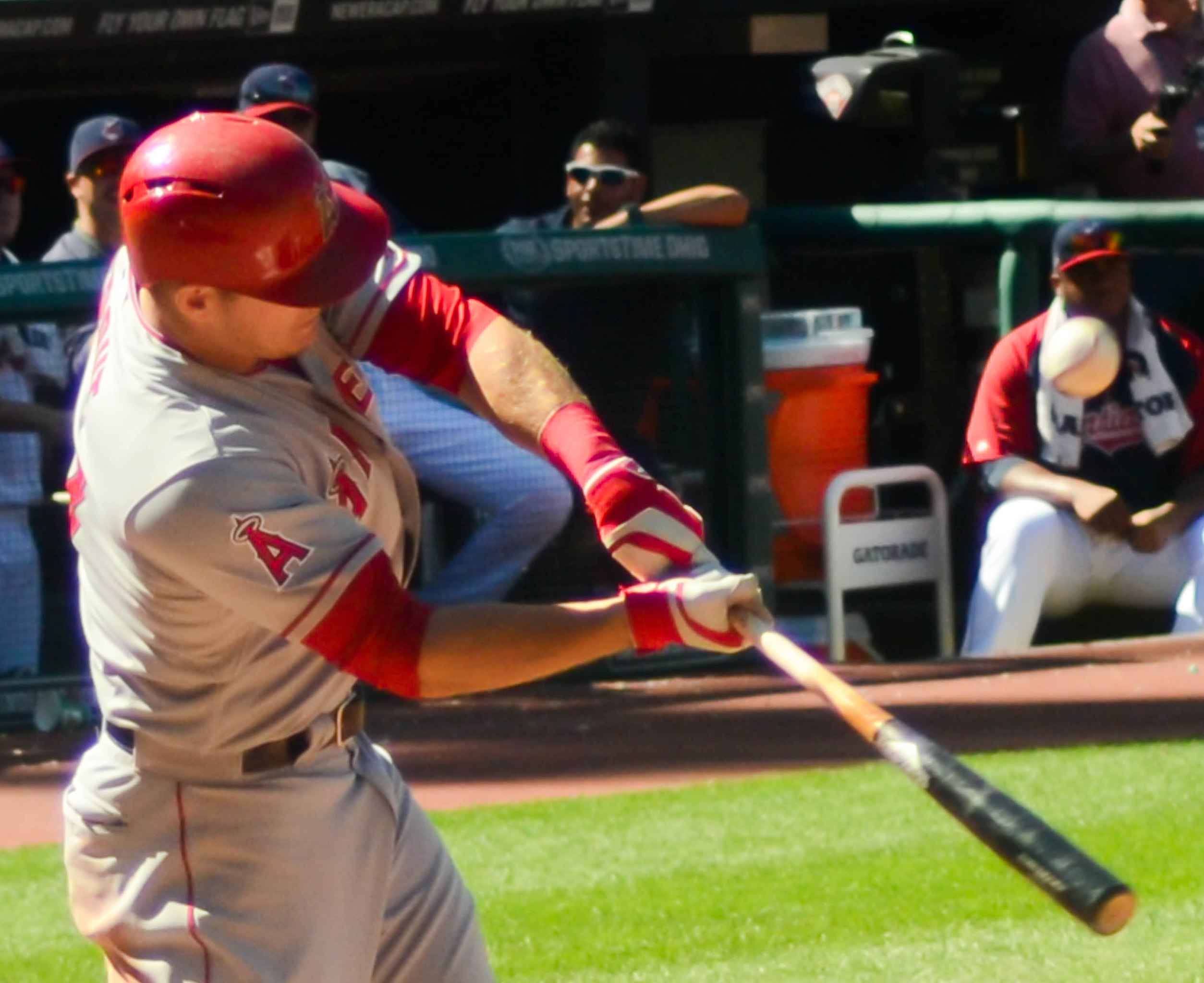 File:Mike Trout (52029947783).jpg - Wikimedia Commons