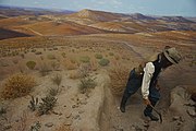 Deserts of the Salty Great Basin