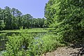 * Nomination Mirror Lake at Norfolk Botanical Garden --PumpkinSky 00:37, 2 August 2017 (UTC) * Promotion Good quality. -- Johann Jaritz 02:04, 2 August 2017 (UTC)