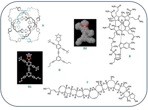 Chimie organique : définition et explications