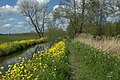 Landscape near Lakerveld