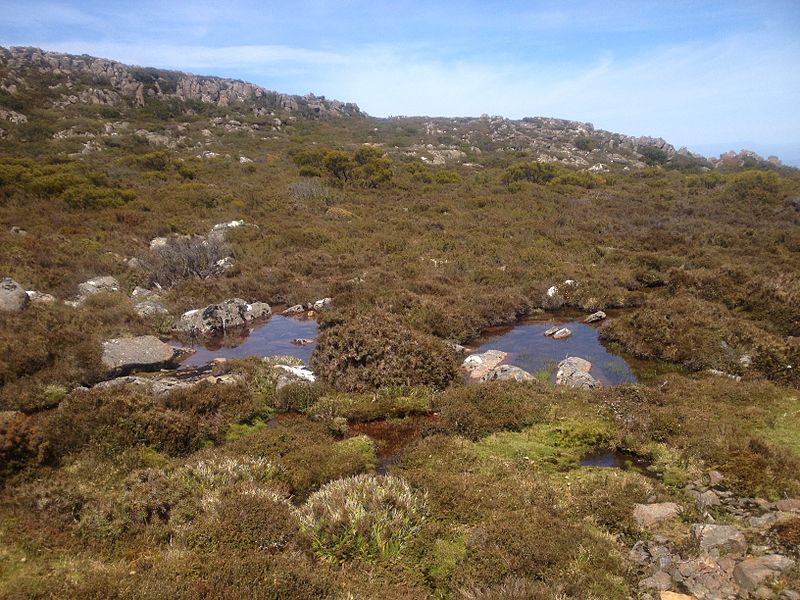 File:Mt Barrow Tarns.jpg