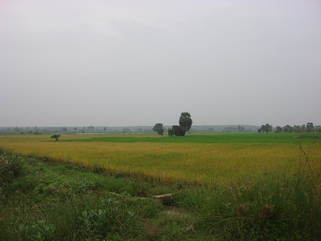 Thanjavur (distrito sa Indiya)