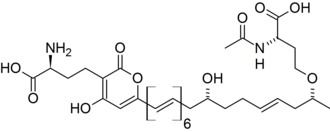 Topologische chemische formule.