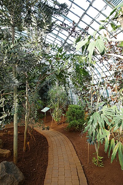 File New Caledonia Greenhouse Jardin Des Serres D Auteuil