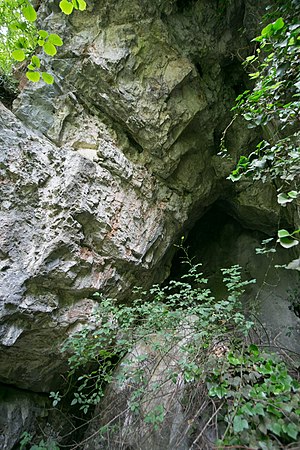 Niche Cave 2784 12.jpg