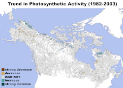 Northern Forest Trend in Photosynthetic Activity.gif