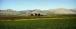 Landschaft bei Göksun