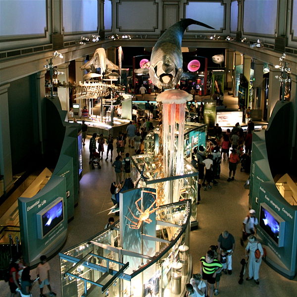 File:Ocean Hall at the National Museum of Natural History.jpg