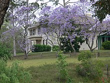 The gardens and grounds during spring Old Government House, Parramatta - spring.jpg