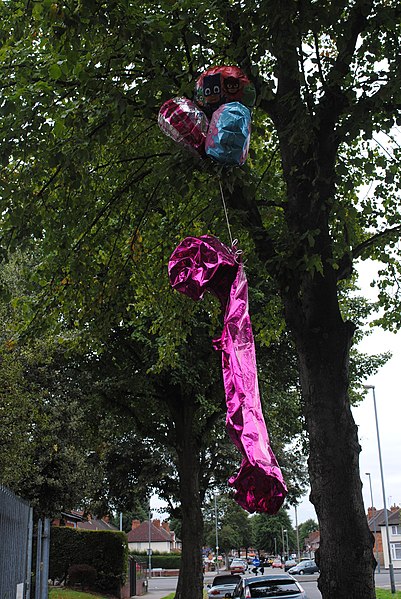 File:Olivia-Rae balloon release debris - 2018-08-28 - Andy Mabbett - 05.jpg