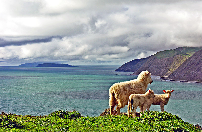 File:On the Quartz Hill track, Wellington, New Zealand, 7 September 2006 - Flickr - PhillipC.jpg