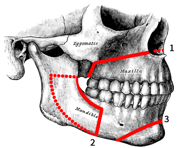 Very scary ellipse-shaped face with sharp teeth and big mouth