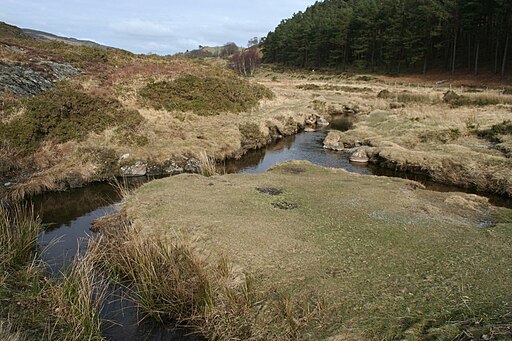 Outlet from Llyn Geirionydd - geograph.org.uk - 3371254