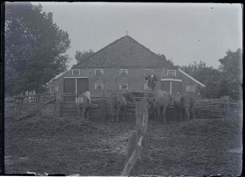 File:Overzicht achtergevel boerderij - Blijham - 20459949 - RCE.jpg