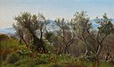 P. C. Skovgaard, Oliventræer ved Olevano med bjerge i baggrunden, 1869, 0152NMK, Nivaagaards Malerisamling.jpg