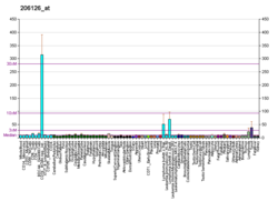 PBB GE BLR1 206126 в формате fs.png