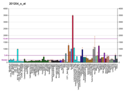 PBB GE RRBP1 201204 s در fs.png