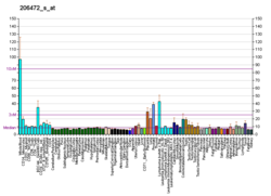 PBB GE TLE3 206472 s at fs.png