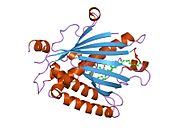 PDB 2a1l EBI.jpg