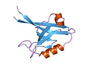 PDB 2byg EBI.jpg