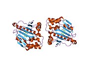 PDB 2cdd EBI.jpg